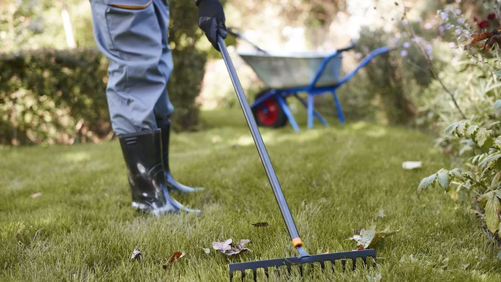 Cleaning Services