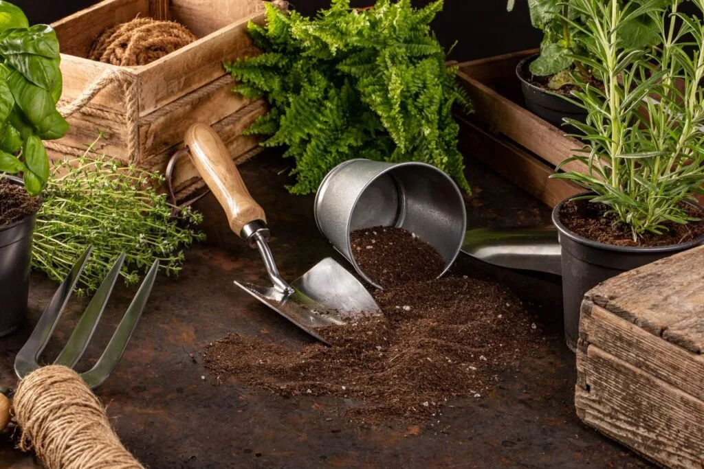 Gardening tools and equipment