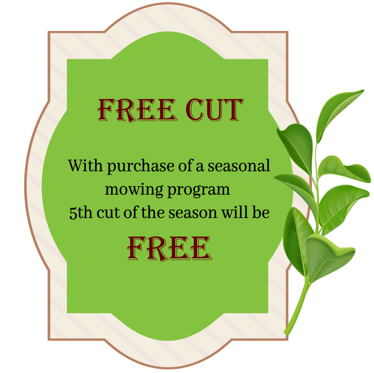 Offer 3