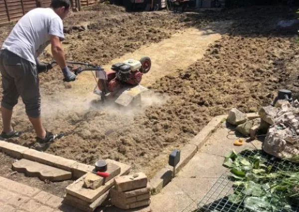 Tree Removal And Stump Grinding